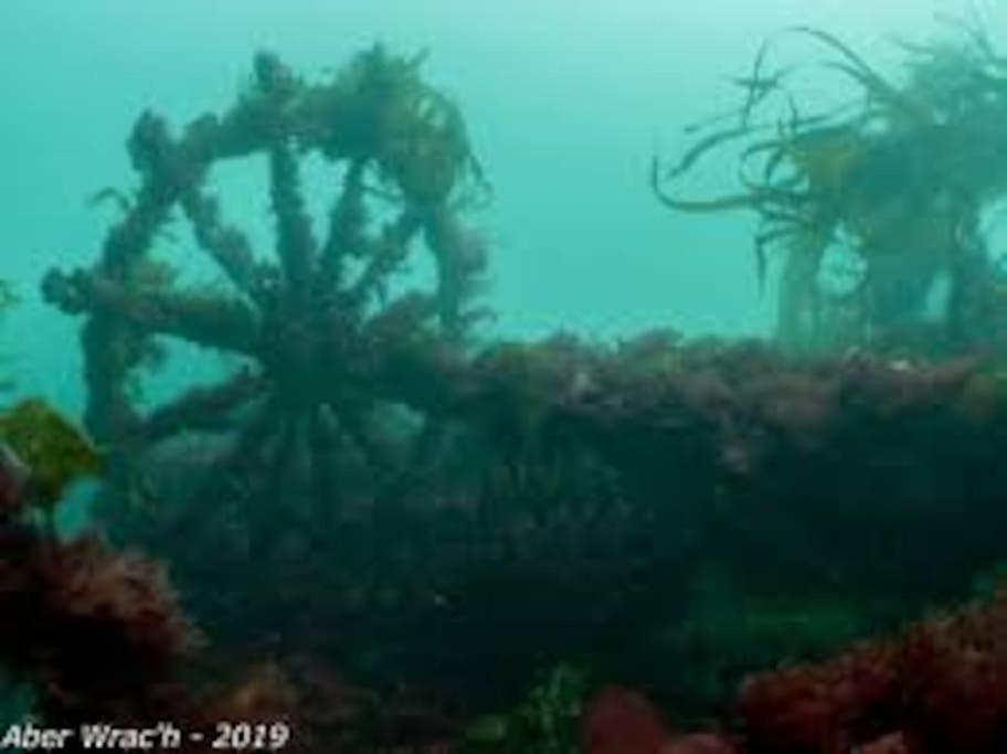 Gite Entre Mer Et Abers Landéda Esterno foto