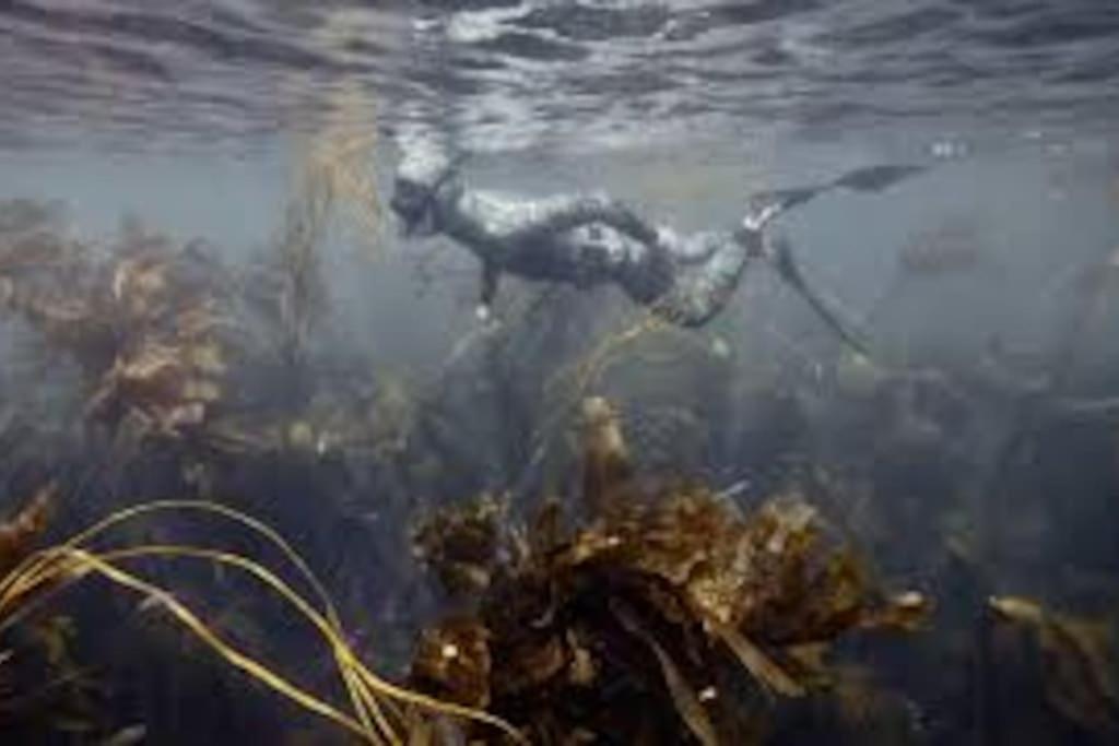 Gite Entre Mer Et Abers Landéda Esterno foto