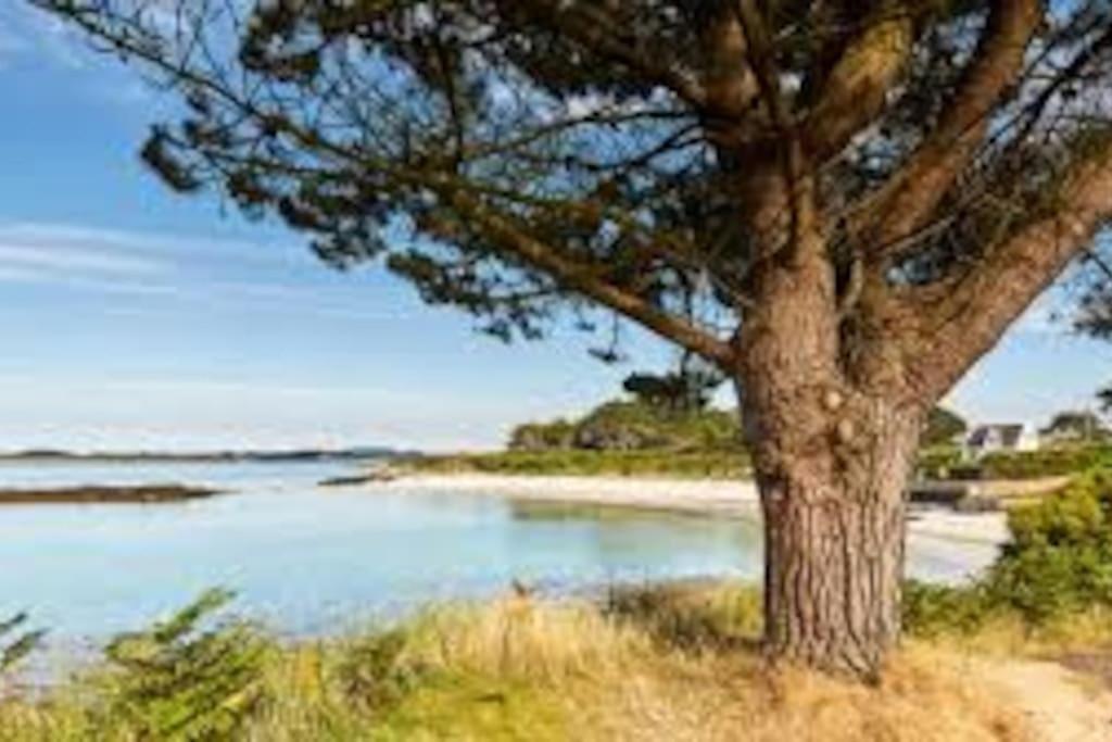 Gite Entre Mer Et Abers Landéda Esterno foto