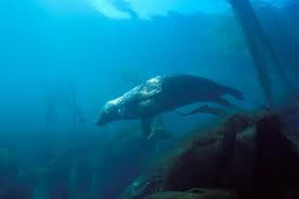 Gite Entre Mer Et Abers Landéda Esterno foto
